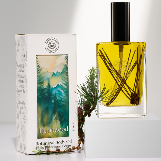 Heartwood Body Oil | Balsam Fir & Cedar